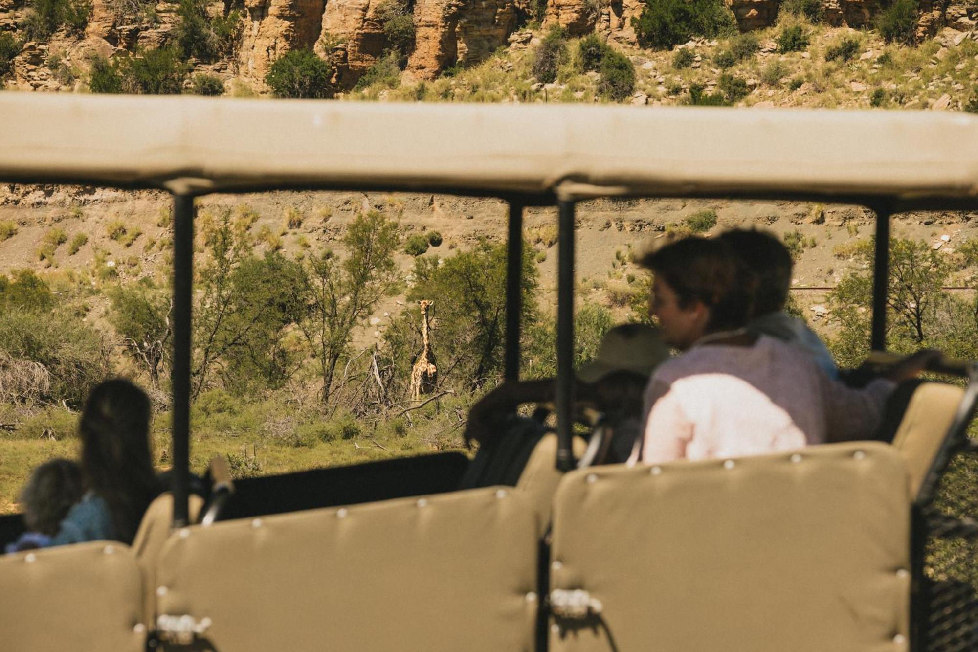 Buccara Wildlife Reserve Graaff-Reinet Exterior foto